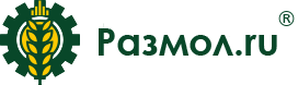 Создание сайта Размол.ru